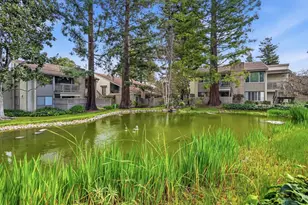 19124 Vineyard Ln, Saratoga, CA 95070 - Photo 36