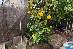 1075 Space Park Way 60, Mountain View, CA 94043 - Photo 20