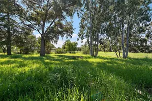 13575 Mammini Ct, San Martin, CA 95046 - Photo 50