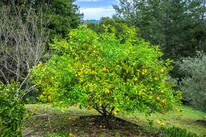 645 Skyward Dr, Aptos, CA 95003 - Photo 46