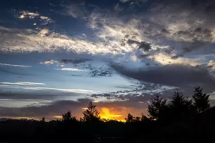 645 Skyward Dr, Aptos, CA 95003 - Photo 28