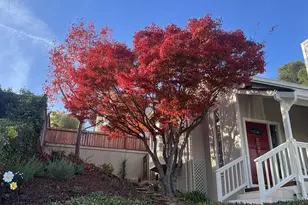 22208 Quinterno Ct, Cupertino, CA 95014 - Photo 68