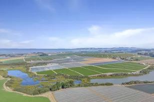 268 Giberson Rd, Moss Landing, CA 95039 - Photo 56