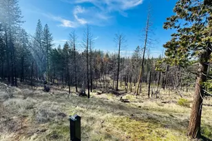 6330 Caldor Rd, Somerset, CA 95684 - Photo 22