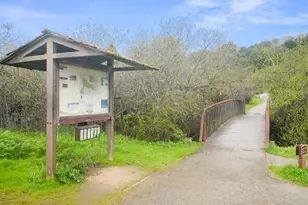 10175 Orange Ave, Cupertino, CA 95014 - Photo 94