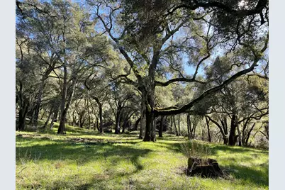 10 Garzas Trl, Carmel Valley, CA 93923 - Photo 6