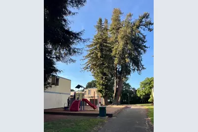 786 Simpson Pl, Santa Rosa, CA 95401 - Photo 24