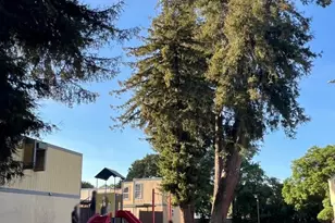 786 Simpson Pl, Santa Rosa, CA 95401 - Photo 24