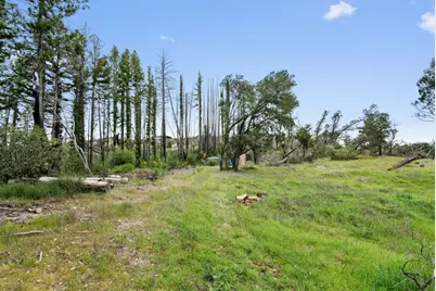 411 Midway Ranch Rd, Boulder Creek, CA 95006 - Photo 58