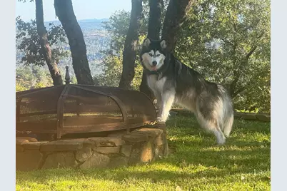 2251 Folendorf Rd, Murphys, CA 95247 - Photo 16