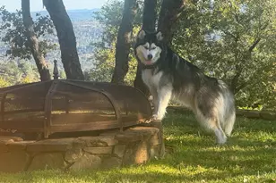 2251 Folendorf Rd, Murphys, CA 95247 - Photo 16