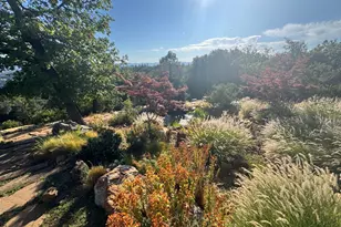 2251 Folendorf Rd, Murphys, CA 95247 - Photo 24