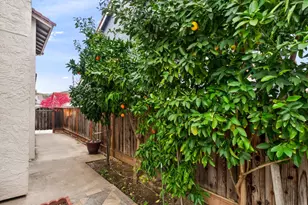 6979 Sessions Dr, San Jose, CA 95119 - Photo 48