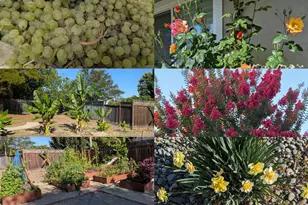 450 Stratford Park Ct, San Jose, CA 95136 - Photo 38