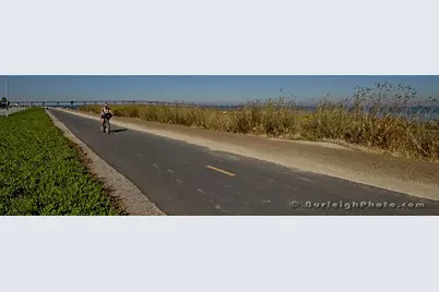 916 Beach Park Blvd 65, Foster City, CA 94404 - Photo 38