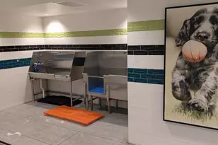 45128 Warm Springs Blvd 228, Fremont, CA 94539 - Photo 18