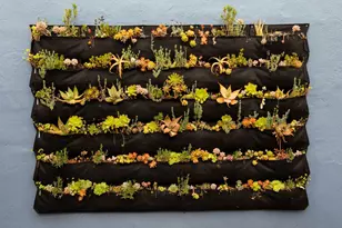 162 W Rosemary St, San Jose, CA 95110 - Photo 28