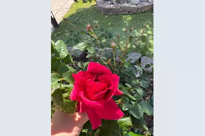 209 Norwich Dr, South San Francisco, CA 94080 - Photo 66