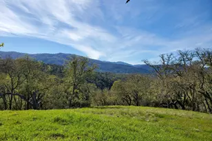 0 Cachagua Rd, Carmel Valley, CA 93924 - Photo 1