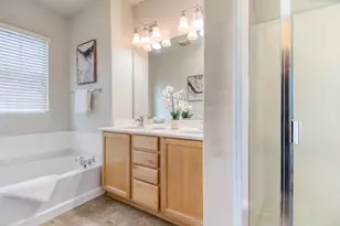 173 S Veracruz Pl, Mountain House, CA 95391 - Photo 22