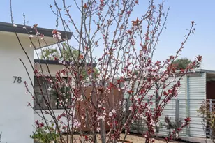 78 Nancy Dr, San Pablo, CA 94806 - Photo 8