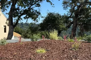 15220 Upper Ellen Rd, Los Gatos, CA 95033 - Photo 64