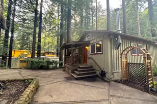 155 McGaffigan Mill Rd, Boulder Creek, CA 95006 - Photo 22