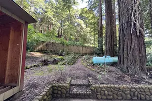 155 McGaffigan Mill Rd, Boulder Creek, CA 95006 - Photo 22