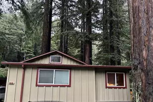 155 McGaffigan Mill Rd, Boulder Creek, CA 95006 - Photo 2