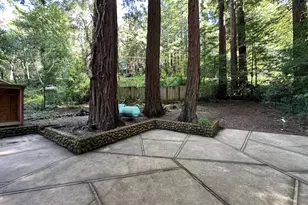 155 McGaffigan Mill Rd, Boulder Creek, CA 95006 - Photo 26