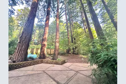 155 McGaffigan Mill Rd, Boulder Creek, CA 95006 - Photo 20