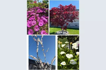 2644 Maplewood Ln, Santa Clara, CA 95051 - Photo 46