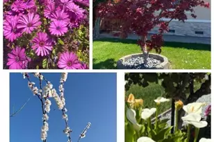 2644 Maplewood Ln, Santa Clara, CA 95051 - Photo 46