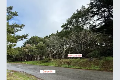 037022250 Carlos, Moss Beach, CA 94038 - Photo 1