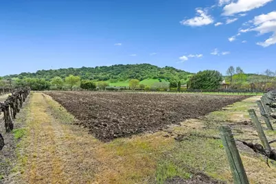 1265 Lions Peak Ln, San Martin, CA 95046 - Photo 14