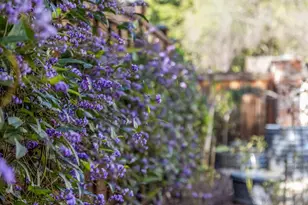 17930 Vineland Ave, Monte Sereno, CA 95030 - Photo 74