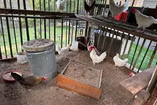 18171 Berta Canyon Rd, Salinas, CA 93907 - Photo 24