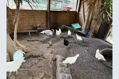 18171 Berta Canyon Rd, Salinas, CA 93907 - Photo 22