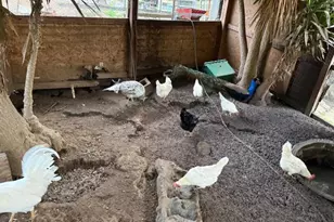 18171 Berta Canyon Rd, Salinas, CA 93907 - Photo 22