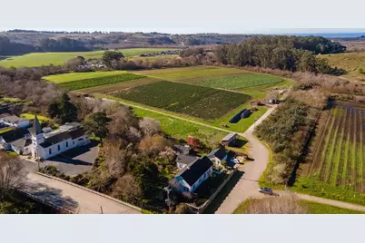 393 Stage Rd, Pescadero, CA 94060 - Photo 38