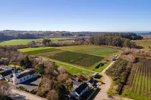 393 Stage Rd, Pescadero, CA 94060 - Photo 38