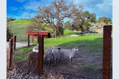 2285 McDonald Ln, Morgan Hill, CA 95037 - Photo 50