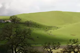 3263 Sleeping Meadow Way, San Ramon, CA 94582 - Photo 4