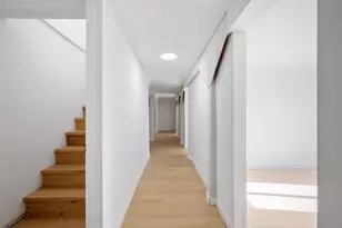 2519 Lincoln Ave, Belmont, CA 94002 - Photo 44