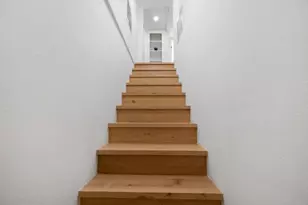 2519 Lincoln Ave, Belmont, CA 94002 - Photo 50