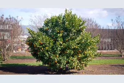 730 Lepa Ct, Gilroy, CA 95020 - Photo 48