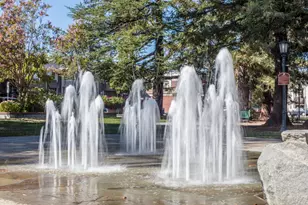 145 Central Ave, Los Gatos, CA 95030 - Photo 50