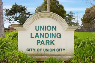 4819 Kenwood St, Union City, CA 94587 - Photo 52