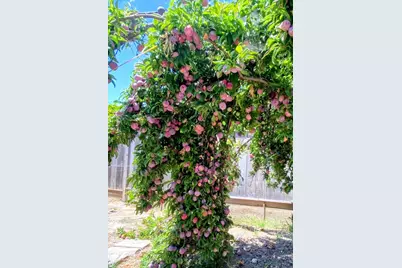 34839 Clover St, Union City, CA 94587 - Photo 44