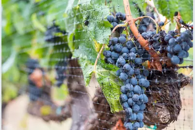 5371 Stonehurst Dr, Martinez, CA 94553 - Photo 30